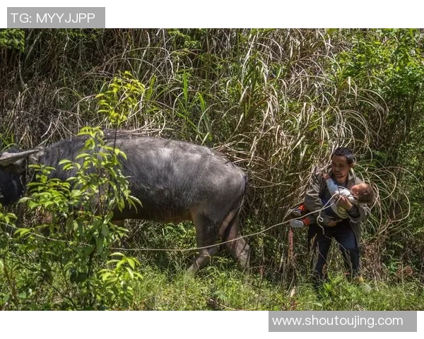 足球明星父亲携手儿子共赴赛场亲情之旅 展现父爱与运动精神 足球明星父亲携手儿子共赴赛场亲情之旅 展现父爱与运动精神