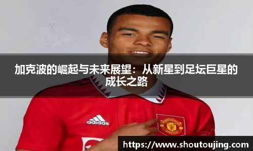 必一·体育(B-Sports)